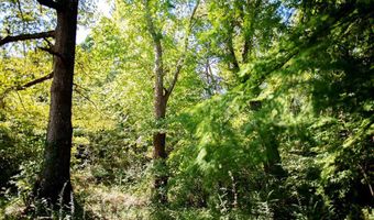 59 E Long St, Abbeville, MS 38655