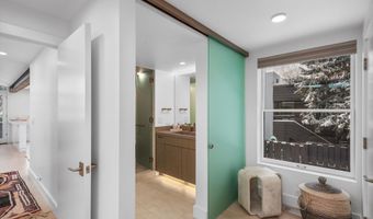 1001 E Cooper Ave 1, Aspen, CO 81611