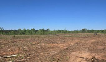 0 Elberton Hwy, Lincolnton, GA 30817