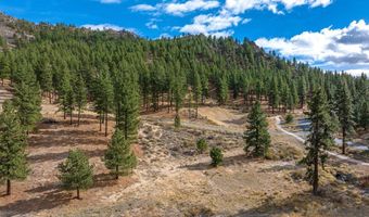 569 Headwaters Way, Carson City, NV 89705