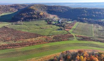 TBD Bear Pen Rd, Arkansaw, WI 54721