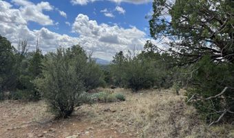 415 XYZ, Arenas Valley, NM 88022
