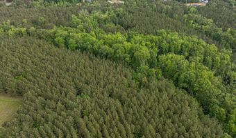 5750 Cobbham Road Lot Tract D, Appling, GA 30802