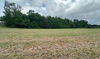 PEAR BLOSSOM Ln, Adamsville, TN 38310