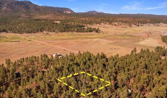 24 County Rd 2267, Alpine, AZ 85920