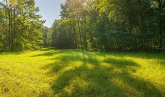 NW 218TH LANE, Alachua, FL 32615