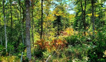 W McMann & Porcupine Hill Road lot 3, Addison, ME 04606