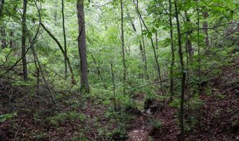 14 5 Neil Robinson Rd, Anderson, MO 64831