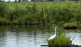 258 Alligator Ln, Akers, LA 70421