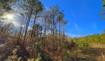 0 County Road 25, Reform, AL 35481