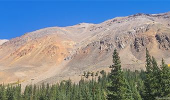 Ms # 19173 SAMSON -50%, Alma, CO 80420