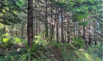 West Tunnel, Banks, OR 97106