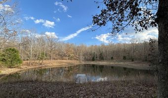 2483 County Road 314, Alton, MO 65606