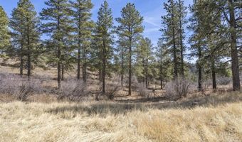 TBD Lot 4 Beaver Creek Ranch Drive, Bayfield, CO 81122