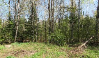 TBD US 141 Lukes Road, Amasa, MI 49903
