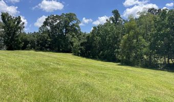 0 Christi Smith Rd, Andalusia, AL 36421
