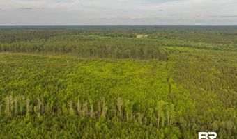 Flowers Road, Bay Minette, AL 36507