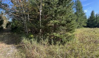 5280 Cathro Rd, Alpena, MI 49707