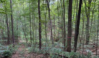0 Holiday Lake Rd, Appomattox, VA 24522