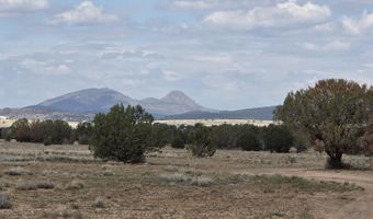 64 Antelope Run, Ash Fork, AZ 86320