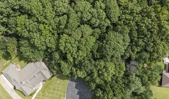 Blue Grouse Place, Afton, OK 74331