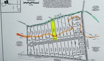 195 CR 1461 Lot 8, Alice, TX 78332