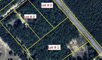 Royer Road lot 1 2 3, Bishopville, SC 29010