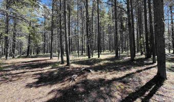 S Cliff Road, Casper, WY 82601