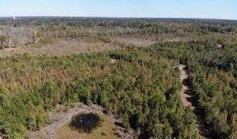 Broxton Bridge Road, Bamberg, SC 29003