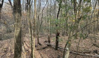 2423 Mill Creek Rd, Bethune, SC 29009