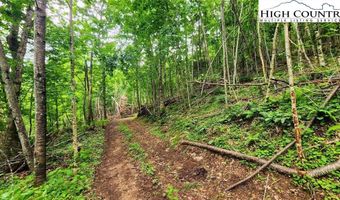 Tbd Teaster Valley Lane, Banner Elk, NC 28604
