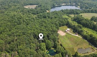 3537 Lake Ridge Ln, Allegan, MI 49010