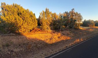 1 COUNTY ROAD N8155, Concho, AZ 85924
