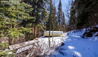 944 Roberts Rd, Alma, CO 80420