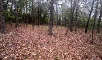 UNIT # 263B KIAMICHI WILDERNESS RD Unit # 63 63, Antlers, OK 74523