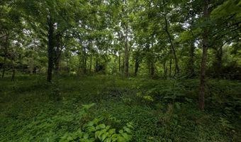 Mt Helen Rd, Allardt, TN 38504