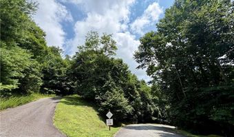 Beaver Dam Road lot 99, Banner Elk, NC 28604