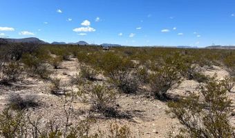 31466 Ringtail Rd, Alpine, TX 79830