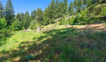 NNA Cape Horn Dr, Bayview, ID 83803