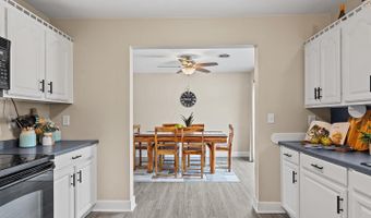 157 CLAYTON Ave, Frankford, DE 19945