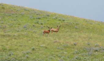 287 Spring Creek Rd, Absarokee, MT 59001