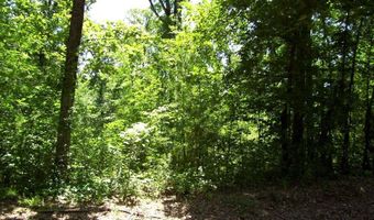 1131 LR 35, Ashdown, AR 71822