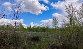 Tbd Aspen Heights Drive, Ashton, ID 83420