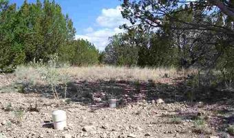 277 Rio Vista Rd Lot 108, Mimbres, NM 88049