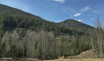 NNA WESTSIDE RD PARCEL 7, Bonners Ferry, ID 83805