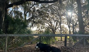 1750 SW 17th Ter, Bell, FL 32619