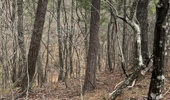 VALLEY VIEW, Basye, VA 22810