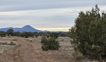 214 Juniper Woods, Ash Fork, AZ 86320
