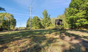 VL 61acres 34th, Allegan, MI 49010