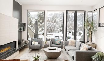 155 Lone Pine Rd /River Bluff C2, Aspen, CO 81611